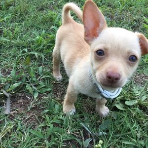 Meet your Posher, Eloisa